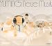 Neue Musik (disc 1)