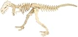 40 Inch Long Tyrannosaurs Wooden Model by Damert