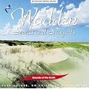 CD Cover Art