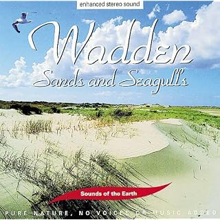 CD Cover Art