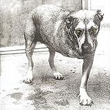 Alice in Chains by Alice In Chains