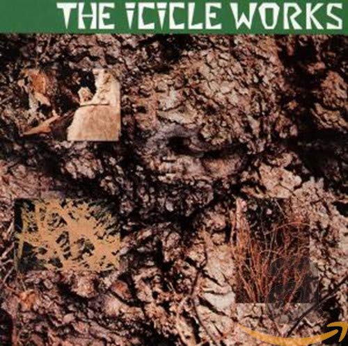ICICLE WORKS - 12