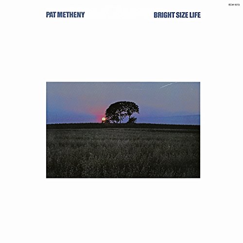 Pat Metheny - Bright Size Life - Zortam Music