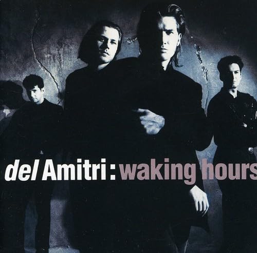 Waking Hours