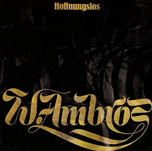 Wolfgang Ambros - I Bin Miad (Live) Lyrics - Zortam Music