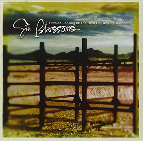 Gin Blossoms - The Best Of The Gin Blossoms - Zortam Music
