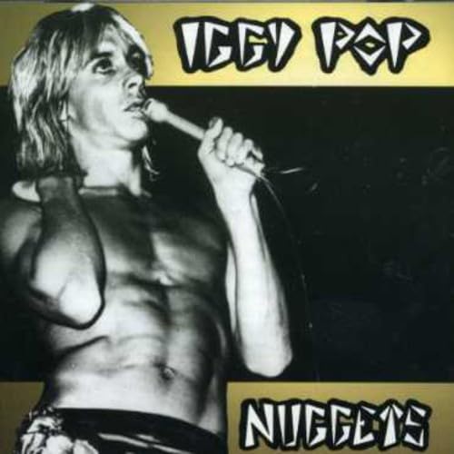 Iggy Pop - Family Affair Lyrics - Zortam Music