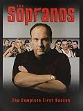 DVD: I Sopranos: La prima stagione completa