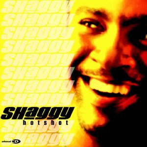 Shaggy - Pioneer The Album, Vol. 2 Dance - Zortam Music