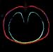 Wasp Star (Apple Venus, Volume II)