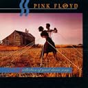 CD Cover Art