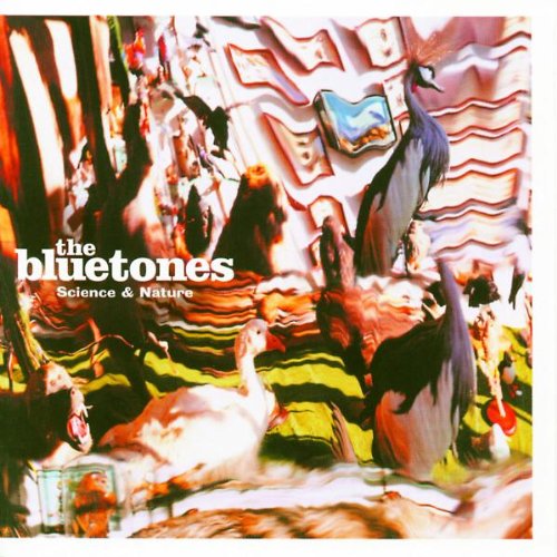 The Bluetones - The Basement Song Lyrics - Zortam Music