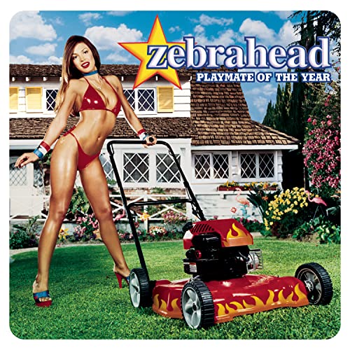Playmate of the Year by Zebrahead album cover