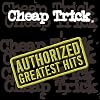 Authorized Greatest Hits