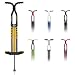 Foam Master Pogo Stick