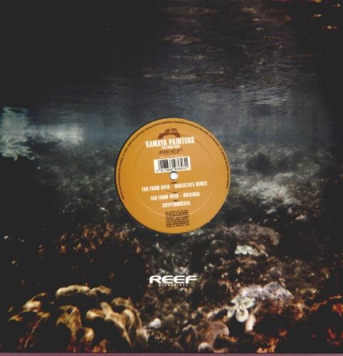 Kamaya Painters - Far from Over (Remixes) [Vinyl Maxi-Single] - Zortam Music