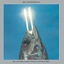 CD Cover Art