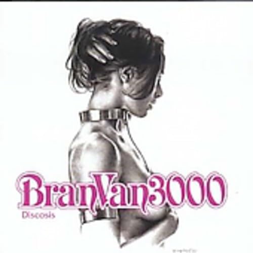Bran Van 3000 - The Answer (Featuring Summer Rose And Dizzy D) Lyrics - Zortam Music