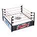 WWE Stunt Action Ring