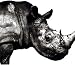 Mr.Children 1992-1995
