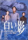 DVD白い影(1)