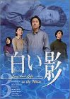 DVD白い影(3)