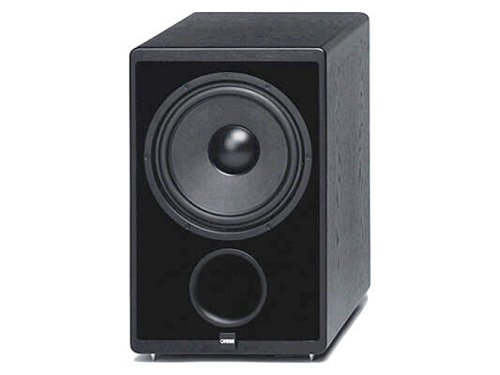 Camcorder: Canton Ergo AS 2 Aktiv-Subwoofer kirsch