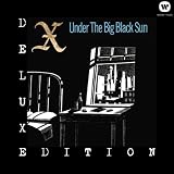 Under the Big Black Sun