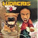 CD Cover Art