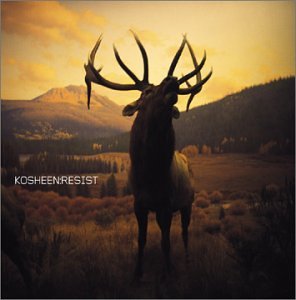 Kosheen - Hide U (John Creamer & Stephane K Remix) Lyrics - Zortam Music