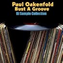 Paul Oakenfold - Bust A Groove