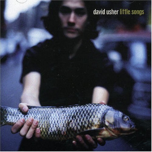 David Usher - Little Songs - Zortam Music