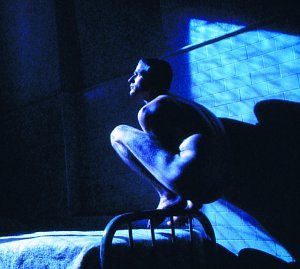 Birdy by Peter Gabriel album cover