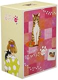 やっぱり猫が好き 6枚BOX(第1巻~第6巻) やっぱり猫が好き 6枚BOX(第1巻~第6巻)