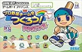 プロ野球チームをつくろう!アドバンス