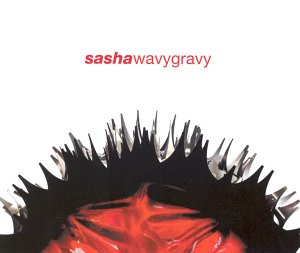 Wavy Gravy