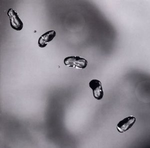 Peter Gabriel - Burn You Up, Burn You Down - Zortam Music