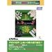 PC�Q�[��BEST�V���[�Y Vol.74 ��C�_�C�i�X�e�B 2