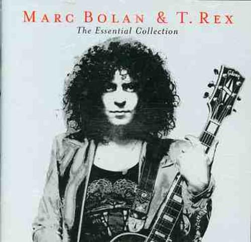 Marc Bolan & T. Rex - Ride A White Swan Lyrics - Zortam Music