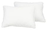 Pacific Coast Feather EuroFeather Standard Pillow, Set of 2