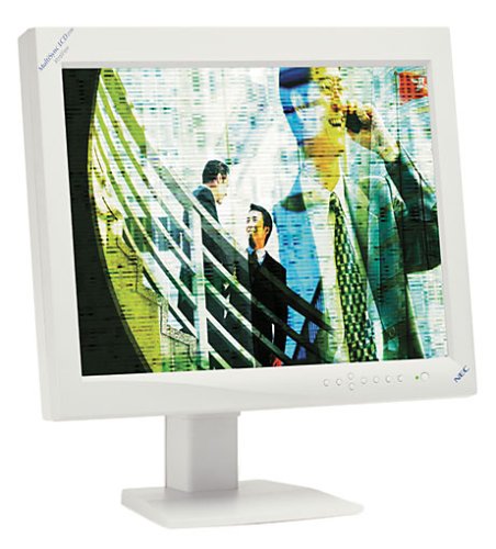 NoteBook: NEC 2110 21 Zoll TFT-Monitor