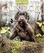 Gun Dog
