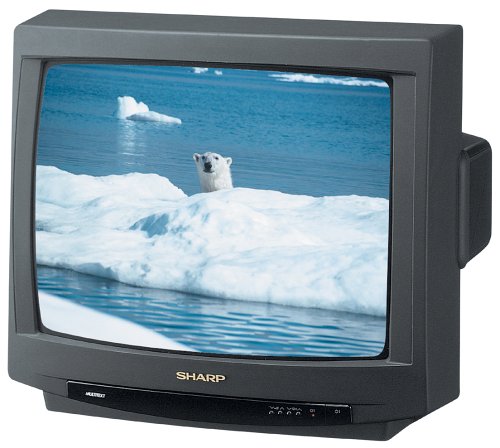 Festplatten: Sharp 51 GT 25 SDE 21-Zoll/ 55 cm 4:3 50 Hertz Fernseher grau