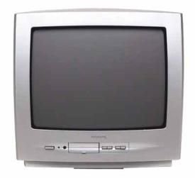 Projektoren: Philips 14 PT 1686 B 14-Zoll/ 35 cm 4:3 Fernseher