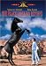 Black Stallion Returns