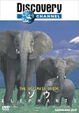 ディスカバリーチャンネル The Ultimate Guide ゾウ