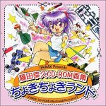 ���c�K�vCD-ROM��W ���傫���傫�����h