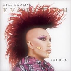 Dead Or Alive - Evolution: the Hits