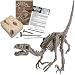 Kidzlabs  - Dig a Velociraptor Skeleton