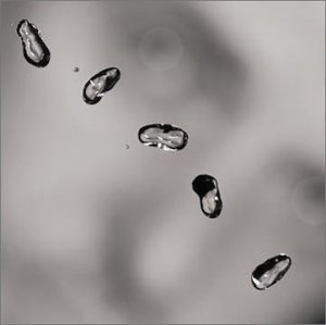 Up by Peter Gabriel album cover